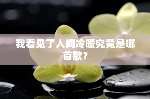 我看见了人间冷暖究竟是哪首歌？