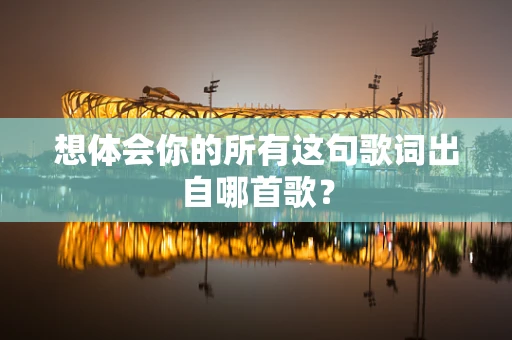 想体会你的所有这句歌词出自哪首歌？