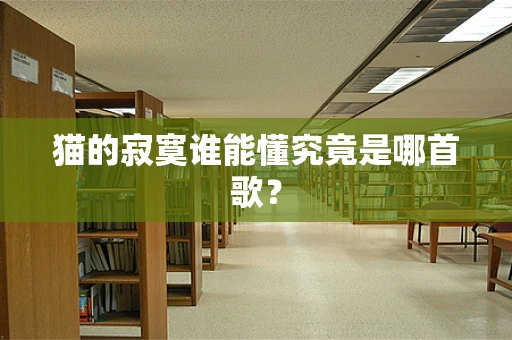 猫的寂寞谁能懂究竟是哪首歌？