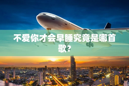 不爱你才会早睡究竟是哪首歌？