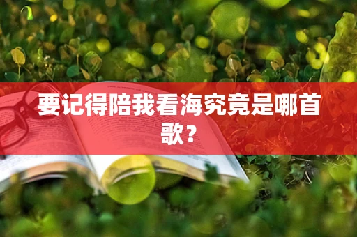 要记得陪我看海究竟是哪首歌？