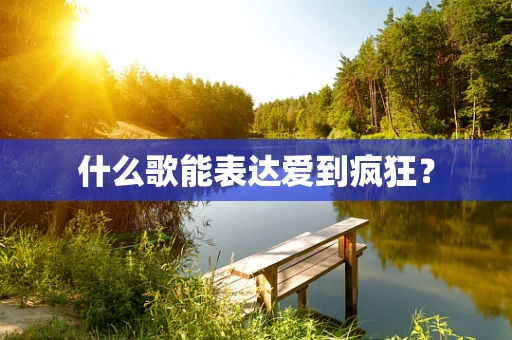 什么歌能表达爱到疯狂？