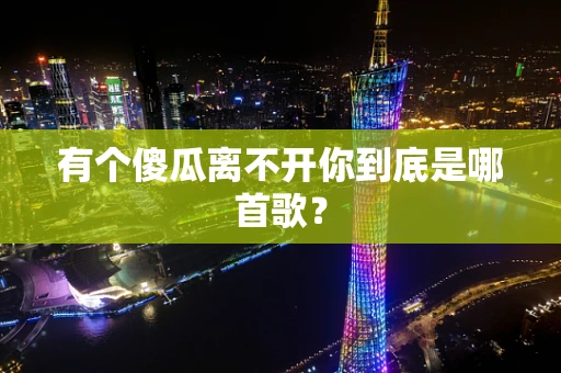 有个傻瓜离不开你到底是哪首歌？