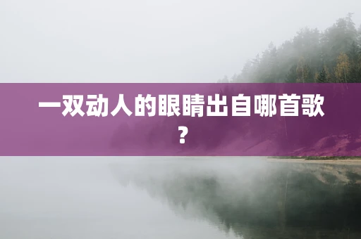 一双动人的眼睛出自哪首歌？