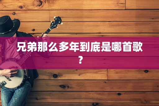 兄弟那么多年到底是哪首歌？