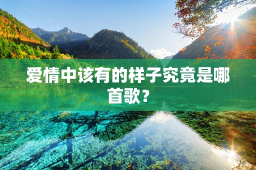爱情中该有的样子究竟是哪首歌？