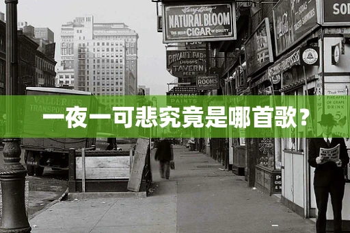 一夜一可悲究竟是哪首歌？