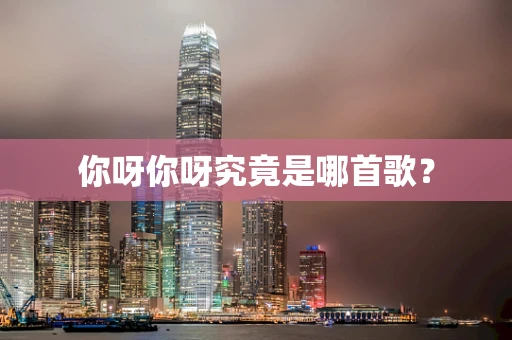 你呀你呀究竟是哪首歌？