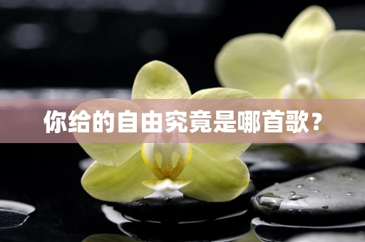 你给的自由究竟是哪首歌？