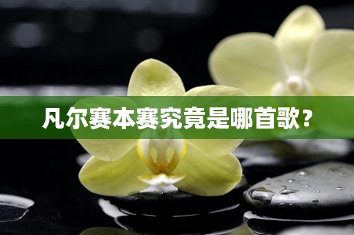 凡尔赛本赛究竟是哪首歌？