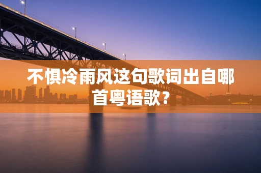 不惧冷雨风这句歌词出自哪首粤语歌？