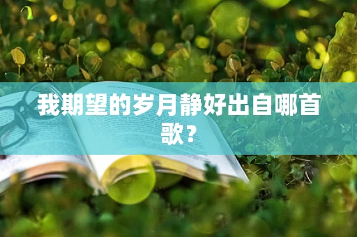 我期望的岁月静好出自哪首歌？