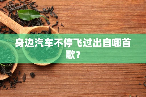 身边汽车不停飞过出自哪首歌？