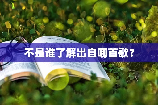 不是谁了解出自哪首歌？