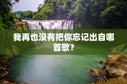 我再也没有把你忘记出自哪首歌？