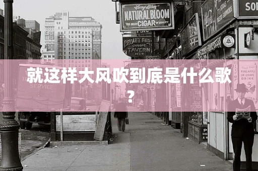 就这样大风吹到底是什么歌？