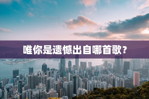 唯你是遗憾出自哪首歌？