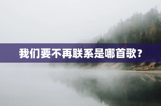 我们要不再联系是哪首歌？