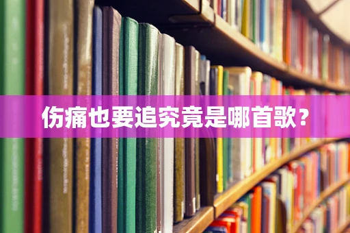 伤痛也要追究竟是哪首歌？