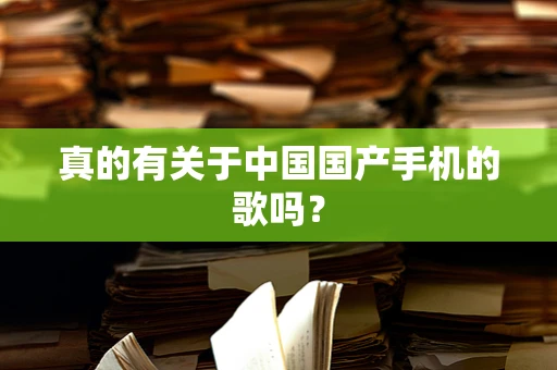 真的有关于中国国产手机的歌吗？