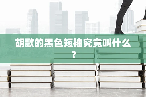 胡歌的黑色短袖究竟叫什么？