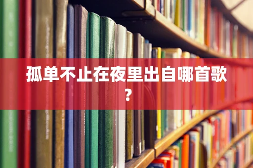 孤单不止在夜里出自哪首歌？