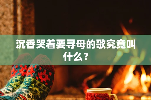沉香哭着要寻母的歌究竟叫什么？
