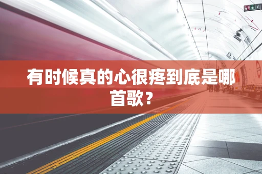 有时候真的心很疼到底是哪首歌？