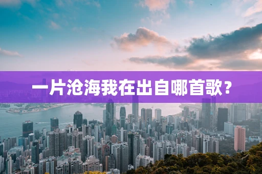 一片沧海我在出自哪首歌？