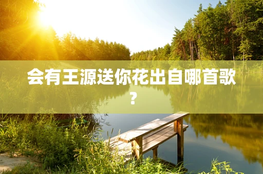 会有王源送你花出自哪首歌？