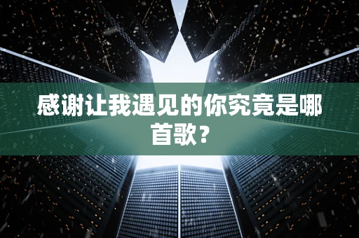 感谢让我遇见的你究竟是哪首歌？