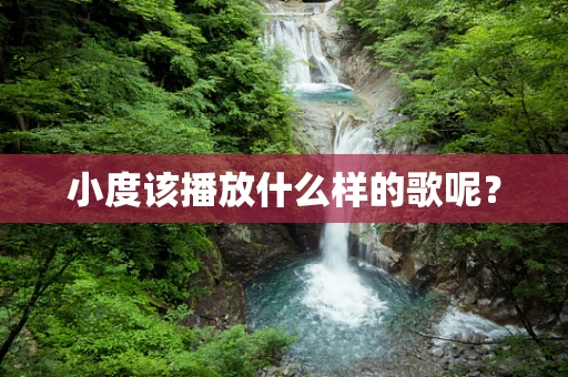 小度该播放什么样的歌呢？