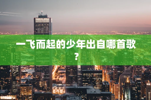 一飞而起的少年出自哪首歌？