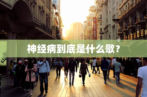 神经病到底是什么歌？