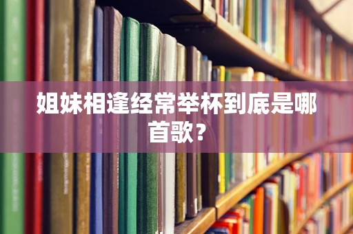 姐妹相逢经常举杯到底是哪首歌？