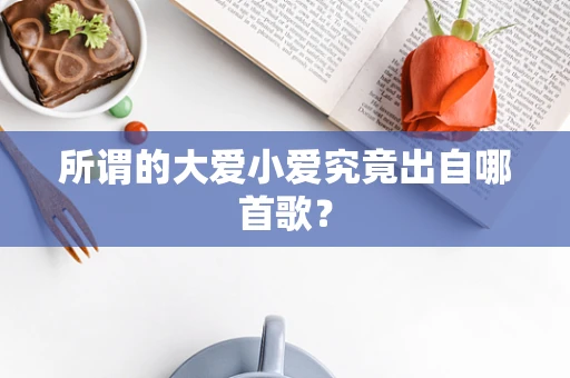 所谓的大爱小爱究竟出自哪首歌？