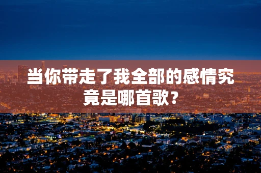 当你带走了我全部的感情究竟是哪首歌？
