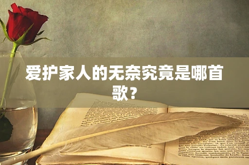 爱护家人的无奈究竟是哪首歌？