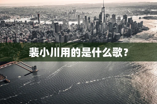 裴小川用的是什么歌？