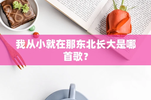 我从小就在那东北长大是哪首歌？