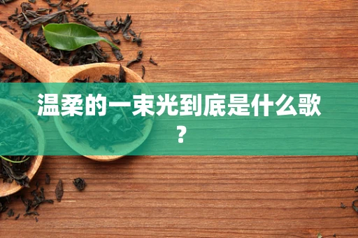 温柔的一束光到底是什么歌？