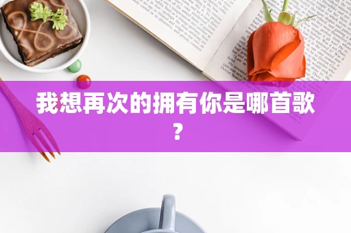 我想再次的拥有你是哪首歌？