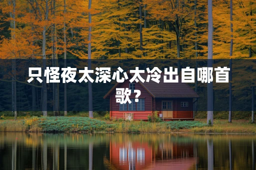 只怪夜太深心太冷出自哪首歌？