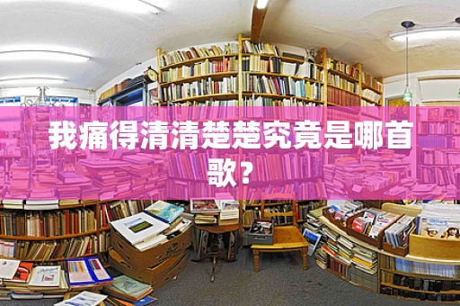 我痛得清清楚楚究竟是哪首歌？