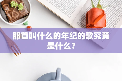 那首叫什么的年纪的歌究竟是什么？