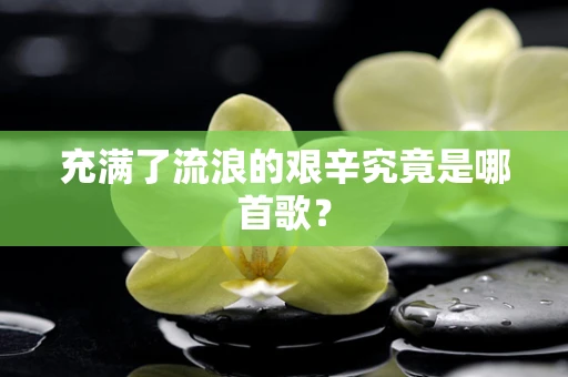 充满了流浪的艰辛究竟是哪首歌？