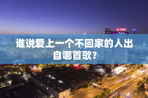 谁说爱上一个不回家的人出自哪首歌？