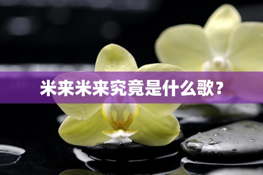 米来米来究竟是什么歌？