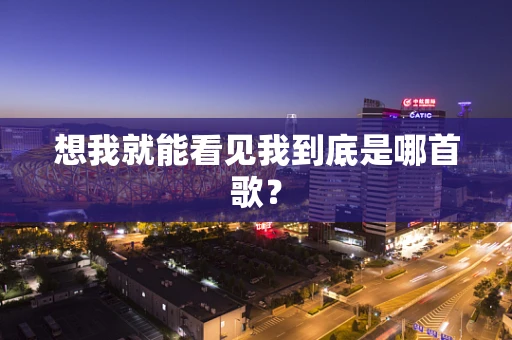 想我就能看见我到底是哪首歌？