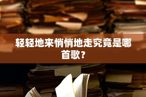 轻轻地来悄悄地走究竟是哪首歌？